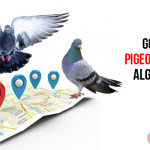 GOOGLE PIGEON UPDATE ALGORITHM