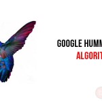 Google Humming Bird Algorithm