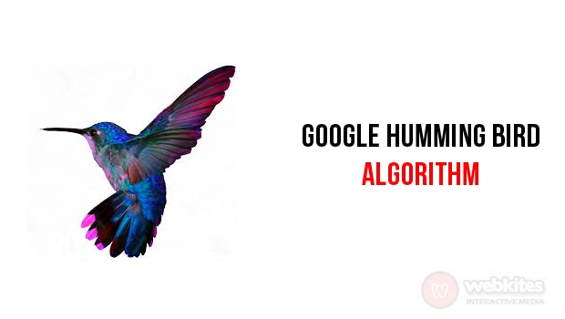 Google Humming Bird Algorithm