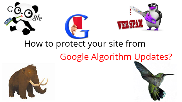 How to protect your site from Google Algorithm updates?